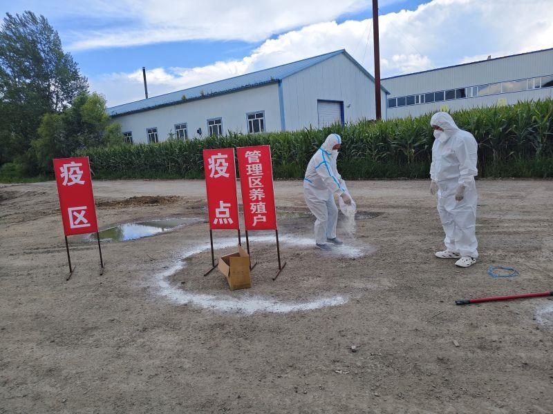 进行隔离.jpg