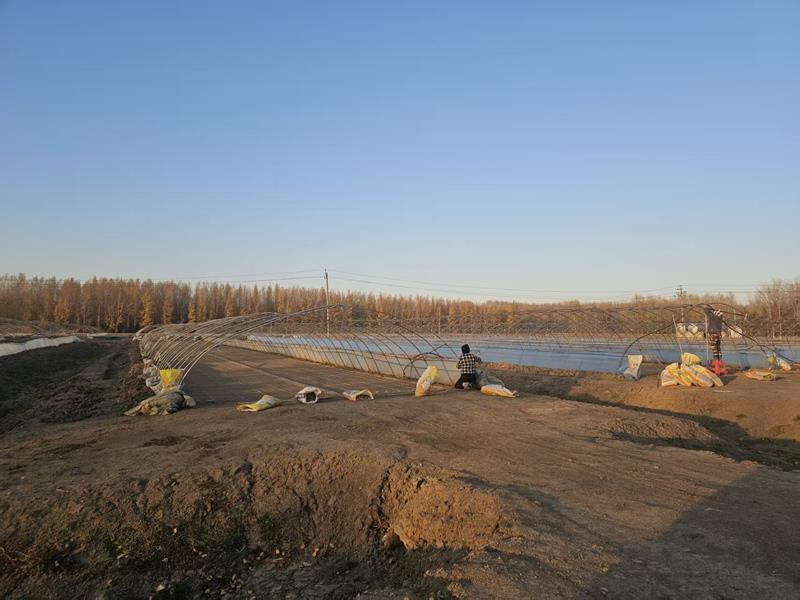 第二管理区秋摆盘“提前量” 换春耕“主动权”.jpg 第二管理区秋摆盘“提前量” 换春耕“主动权”.jpg