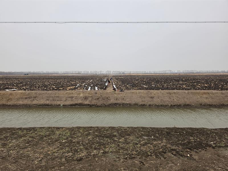 洪河农场第二管理区池埂取直“焕新颜” 农业标准再提档.jpg