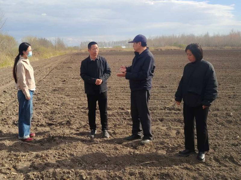 分公司农业发展部袁忠兴检查指导粮改饲(1).jpg