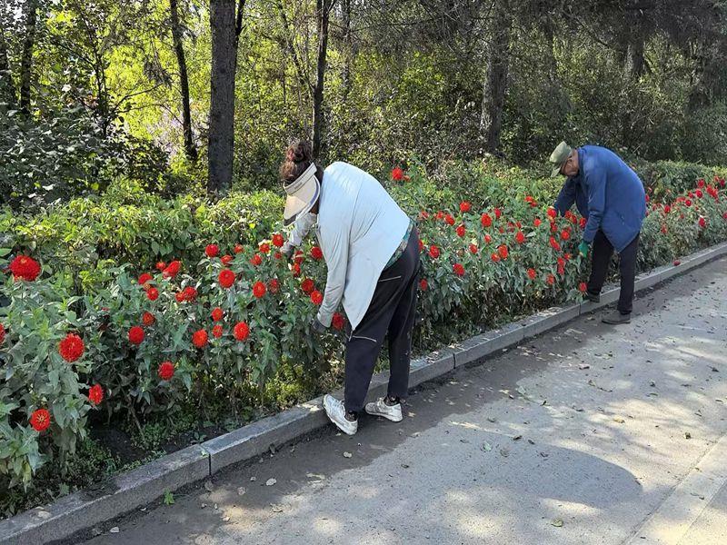 微信图片_20250902153306.jpg